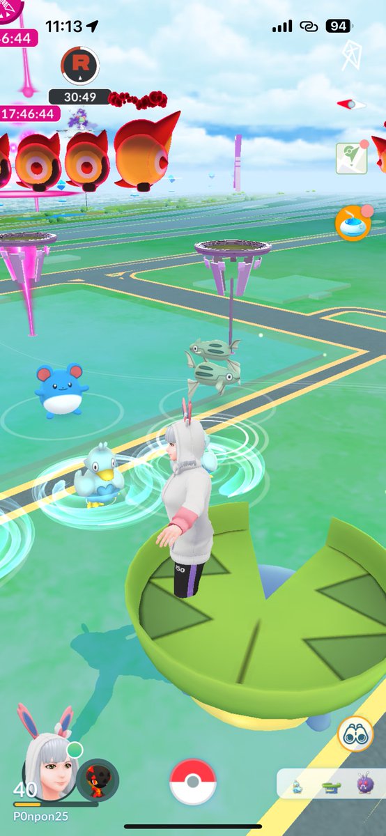 ぽごとるりりに見つめられるひよこ