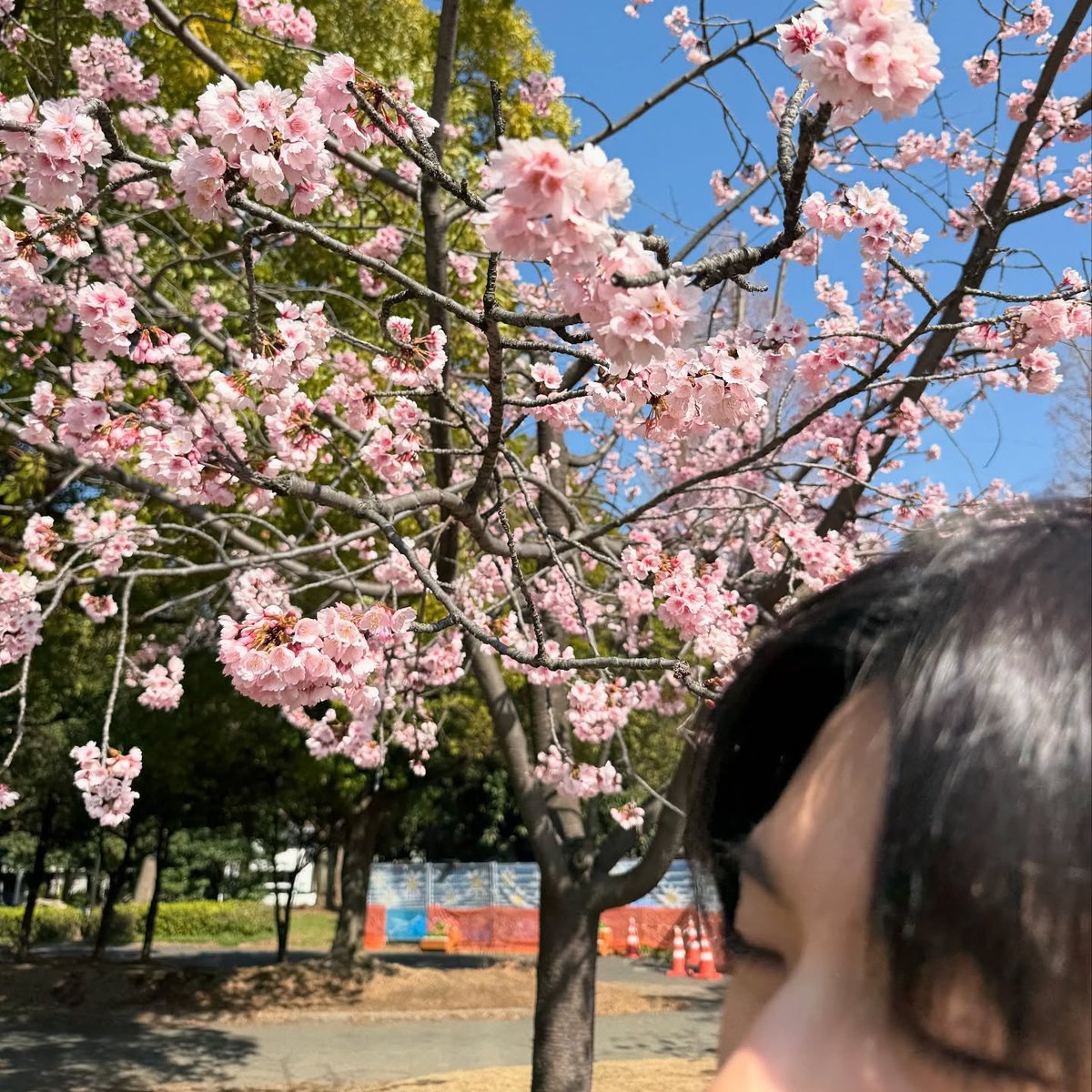 คุณเล็กเขาไปเก็บเด็กมาจากบ้านเสี่ย เห็นว่าเสี่ยยอมยกให้เพราะข้อตกลงไรกันนี่แหละว่ะ

แต่กูไม่รู้นะว่าเขาทำสัญญาอะไรกัน เสี่ยคงขายมา

'คุณเล็ก หนูขอเบิกล่วงหน้าได้มั้ย'

'เท่าไหร่'

'หนึ่งแสน🥺'

'นั่นมากกว่าเงินเดือนเธอ 4 เดือนซะอีก'