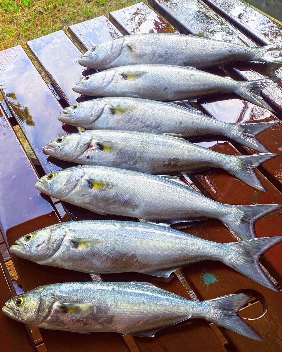 M_T_Kennedy's tweet photo. 🎣 https://t.co/Ztw6cBNHhI