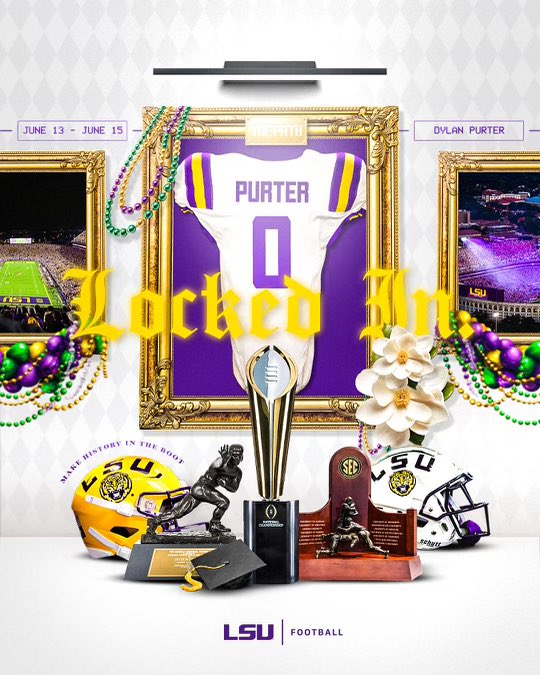🐯🔒!