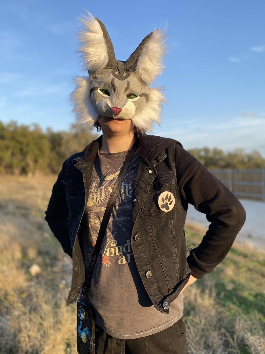 To view the world through feline eyes🐈