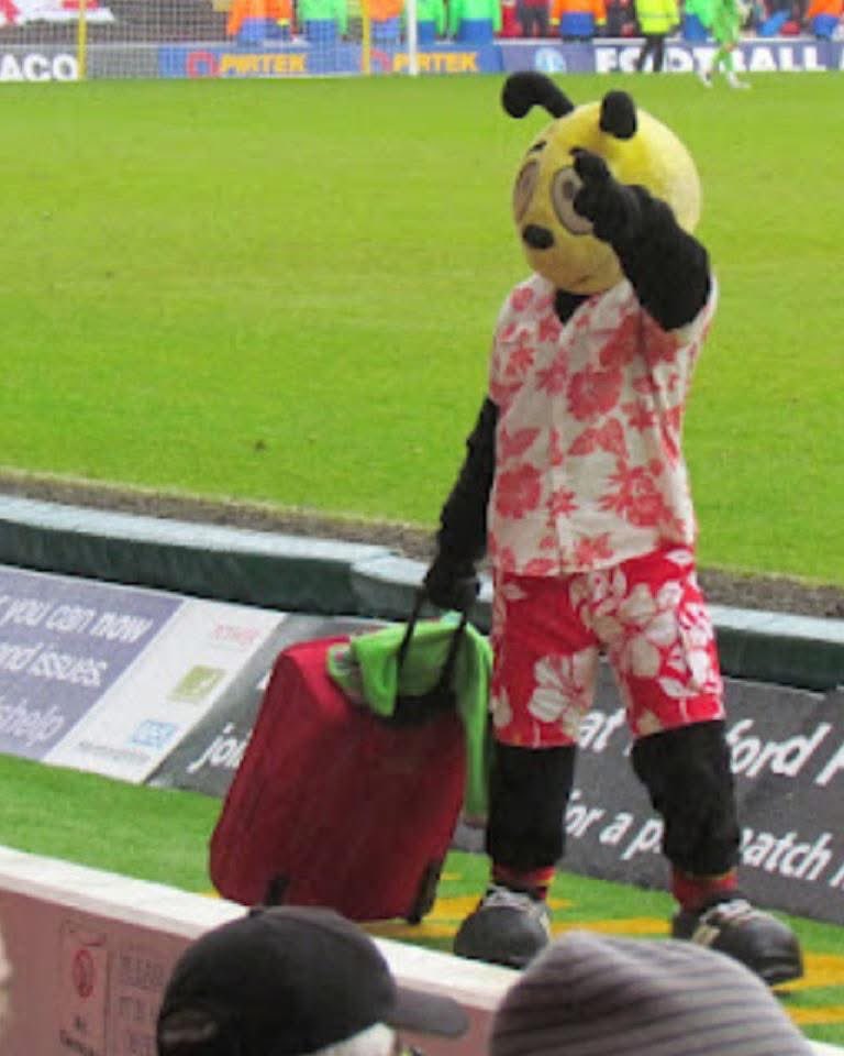 TBT at the end of a season….. but still much to deliver this season 👊🏼💛⚽️🐝#notonholidayyet #watfordfc