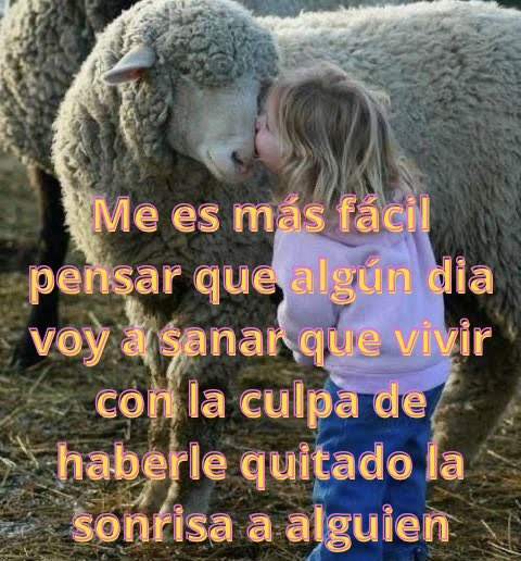 conoloracigarro's tweet photo. https://t.co/moBTmzSP2X