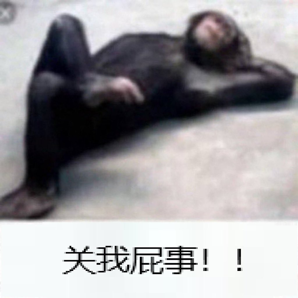 letícia leite tweet media