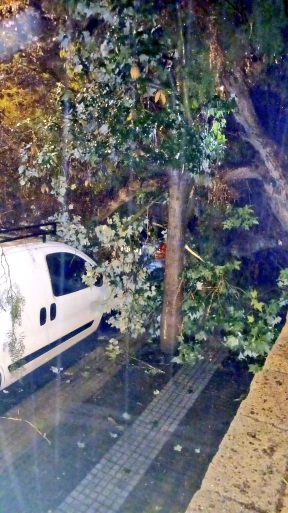 CECOPAL SC Tenerife (@cecopalsc) on Twitter photo También se han realizado intervenciones por caída de ramas. Ahora mismo, efectivos de <a href="/ProteCivilSCTF/">Voluntariado de Protección Civil SC Tenerife</a> están trabajando en la c/ Góngora, junto al parque Don Quijote, por un árbol que ha caído a la vía pública. <a href="/112canarias/">112 Canarias</a> <a href="/ProteCivilSCTF/">Voluntariado de Protección Civil SC Tenerife</a> #AlertaLluvias También se han realizado intervenciones por caída de ramas. Ahora mismo, efectivos de <a href="/ProteCivilSCTF/">Voluntariado de Protección Civil SC Tenerife</a> están trabajando en la c/ Góngora, junto al parque Don Quijote, por un árbol que ha caído a la vía pública. <a href="/112canarias/">112 Canarias</a> <a href="/ProteCivilSCTF/">Voluntariado de Protección Civil SC Tenerife</a> #AlertaLluvias