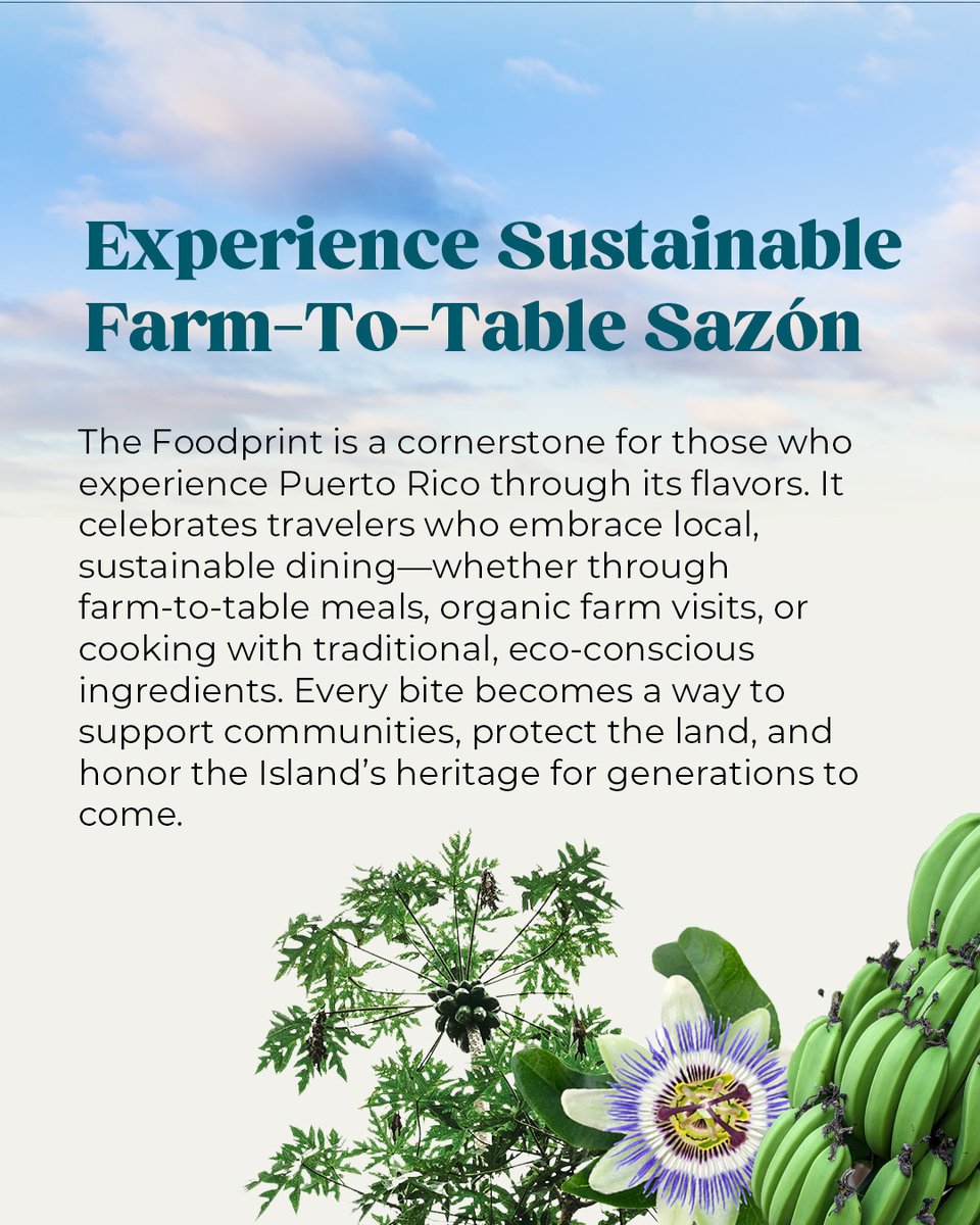 discover_PR's tweet photo. Welcome to The Foodprint—where every flavor tells a story. 🍽️✨
It’s how #TheGreenPath comes to life—through bold flavors, local ingredients, and choices that nourish more than just your appetite. #DiscoverPuertoRico https://t.co/emkRdAJ5NU