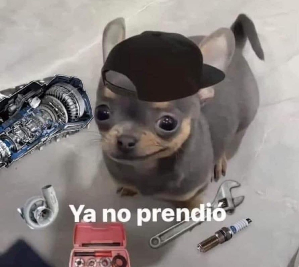 Yo después de jugarle al mecánico con mi carro: