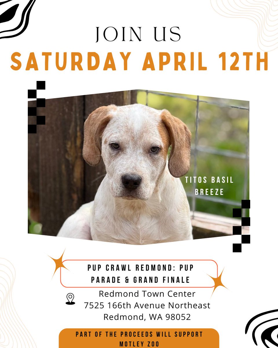 MotleyZooRescue's tweet image. Mark your calendars and come celebrate with us for a pawsitively unforgettable day! 

#PupCrawlGrandFinale #PupParade #CostumeContest #AdoptDontShop #MotleyZoo #PetLovers #PawtyTime #CelebratePets #SupportRescue #DogCostumes #FurryFriends #Paw-some #RedmondTownCenter