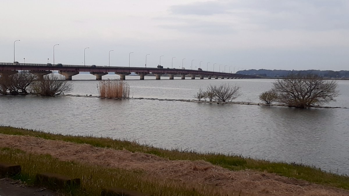 kasumigaura000's tweet photo. 霞ヶ浦の現状　４月10日6:30現在、曇時々晴れ、気温12℃、水温14℃、南の風。天気は下り坂の予報。霞ヶ浦北浦では横びき漁（水曜・日曜が休漁日）をはじめ、様々な漁業が行われていますので、漁船や漁具をはじめ、気象の変化にも注意し安全に努めてください。（写真）行方市玉造甲より霞ヶ浦大橋を望む https://t.co/VJMBBN2txe