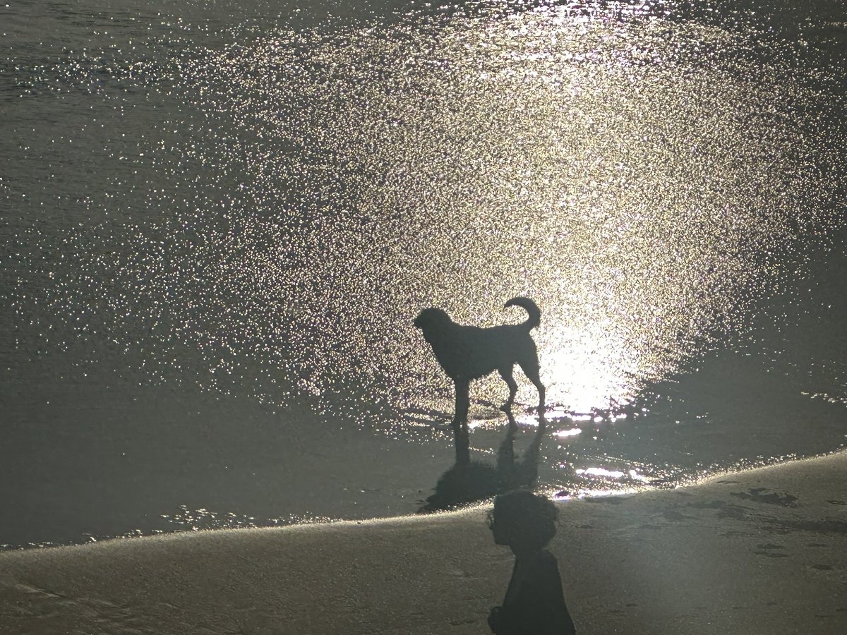 MartinaCurtin's tweet photo. Day 99 #100daysofwalking
Hard to believe itโs April with weather like this in Ireland- a beautiful walk along Lahinch Beach. โ๏ธโ๏ธ
#summerinapril #tropicalireland #lahinch #beachwalking #walkingchallenge #MentalHealthAwareness
@NTBreakfast @mnamheiricea https://t.co/EOLZ5nglZR