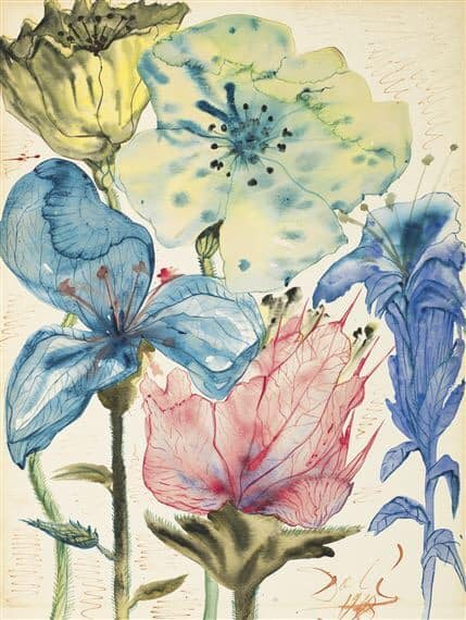 Havenlust's tweet photo. Salvador Dalí https://t.co/pnPvYMv5t4