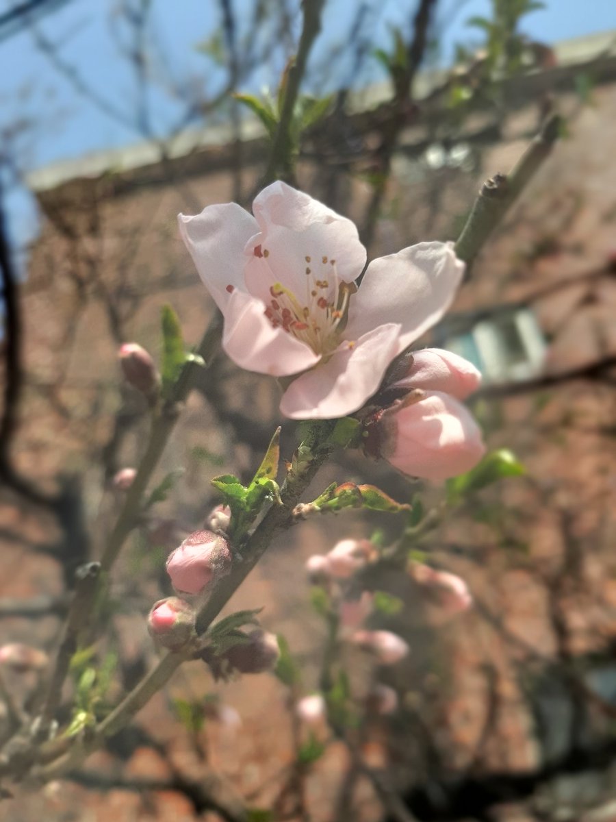 별 일 없이 흐르는 시간에도, 
그 하나하나에, 
무수히 서려 있는 귀함이 있다.
그것을 발견하여,
깊이 느끼며 살자.
무엇보다 단단하도록...
무엇보다 선명하도록...
자세히 보며 귀함을 발견하기 위해, 
묵묵히 느릿느릿 걸어가자.
