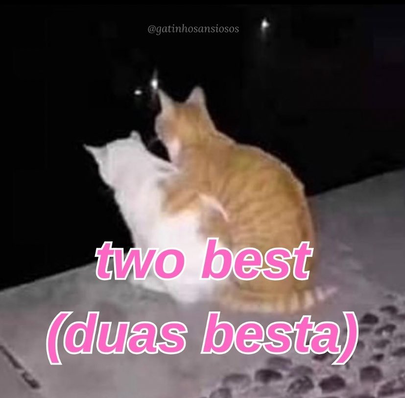 Dicas De Inglês (English Dicks) tweet media