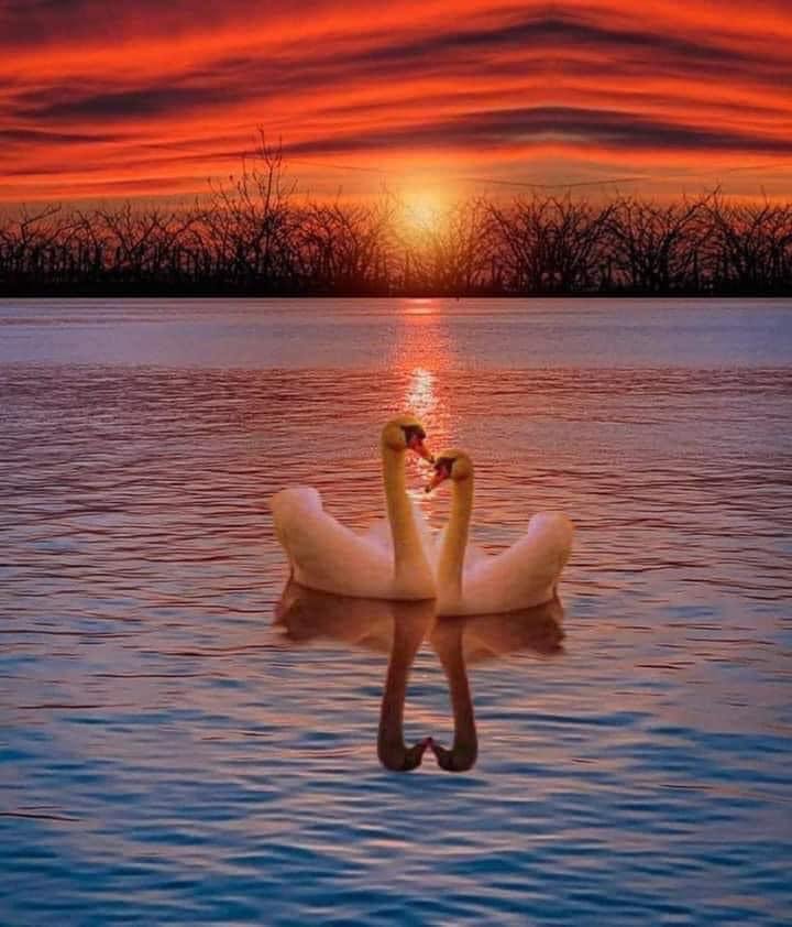 أرِح عقلك قليلاً واتركها تأتي كما كتبها الله لك..
