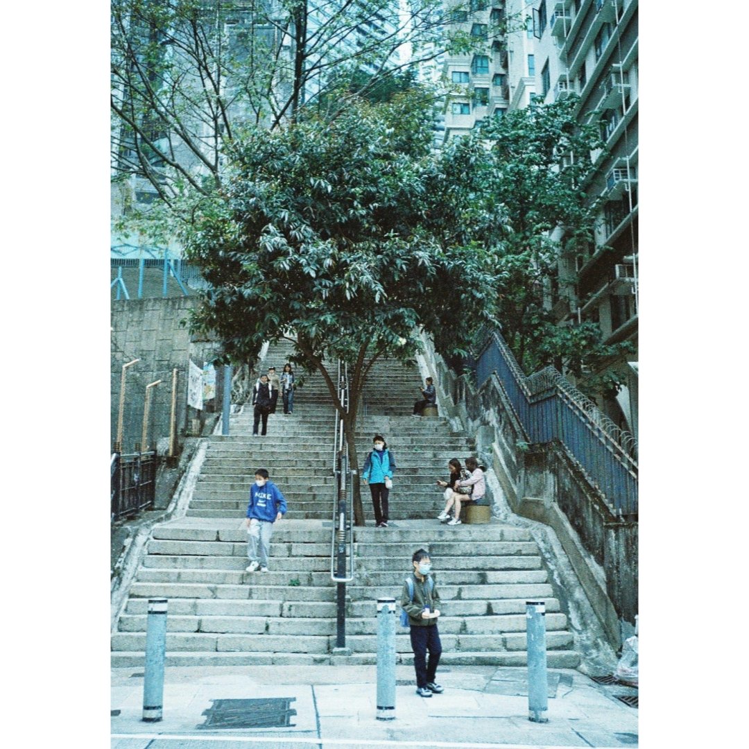 fujimotommr's tweet photo. Hong Kong cityscape😌
香港の街の風景😊

2025年2月22日撮影
#cityscape #hongkong #香港 #中環街市 #lomography #colornegative #カラーネガ #ロモグラフィー #pentax #ペンタックス #ペンタックスイチナナ #pentax17 https://t.co/XgRn4Zincc