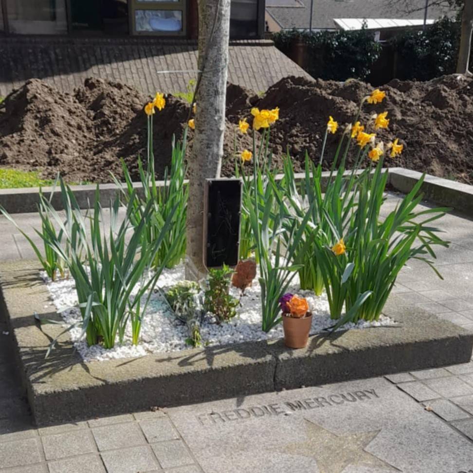 Freddieðžæ¡ãããžã§ã¯ãðž (@fmsakuraproject) on Twitter photo æ¡ã¯å
æ°ã§ãâª
ã¡ã¢ãªã¢ã«ã¬ãŒãã³ã¯å·¥äºäžãªã®ã§æ¡ã®æšã¯äžæçã«å¥ã®å Žæã§ãã¡ããšç®¡çãããŠããŸãðæ¥å¹Žã¯æ°ãããªã£ãå
¬åã§çŸããæ¡ãèŠããŠãããããšã§ãããðž
èšå¿µç¢åšèŸºãå·¥äºã«å
¥ããŸããæ°æ¥åã®åçã§ã¯æ°Žä»ãæºéã§ããð
#ãã¬ãã£ããŒãã¥ãªãŒ
#FreddieMercury #æ¡ã#FelthamGreen æ¡ã¯å
æ°ã§ãâª
ã¡ã¢ãªã¢ã«ã¬ãŒãã³ã¯å·¥äºäžãªã®ã§æ¡ã®æšã¯äžæçã«å¥ã®å Žæã§ãã¡ããšç®¡çãããŠããŸãðæ¥å¹Žã¯æ°ãããªã£ãå
¬åã§çŸããæ¡ãèŠããŠãããããšã§ãããðž
èšå¿µç¢åšèŸºãå·¥äºã«å
¥ããŸããæ°æ¥åã®åçã§ã¯æ°Žä»ãæºéã§ããð
#ãã¬ãã£ããŒãã¥ãªãŒ
#FreddieMercury #æ¡ã#FelthamGreen