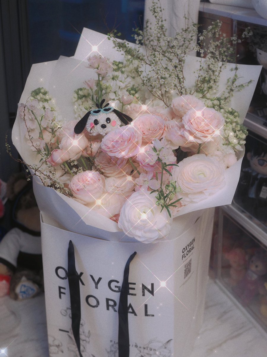 asherwong409's tweet photo. 🌸❤️ https://t.co/mHiyYW5ah5