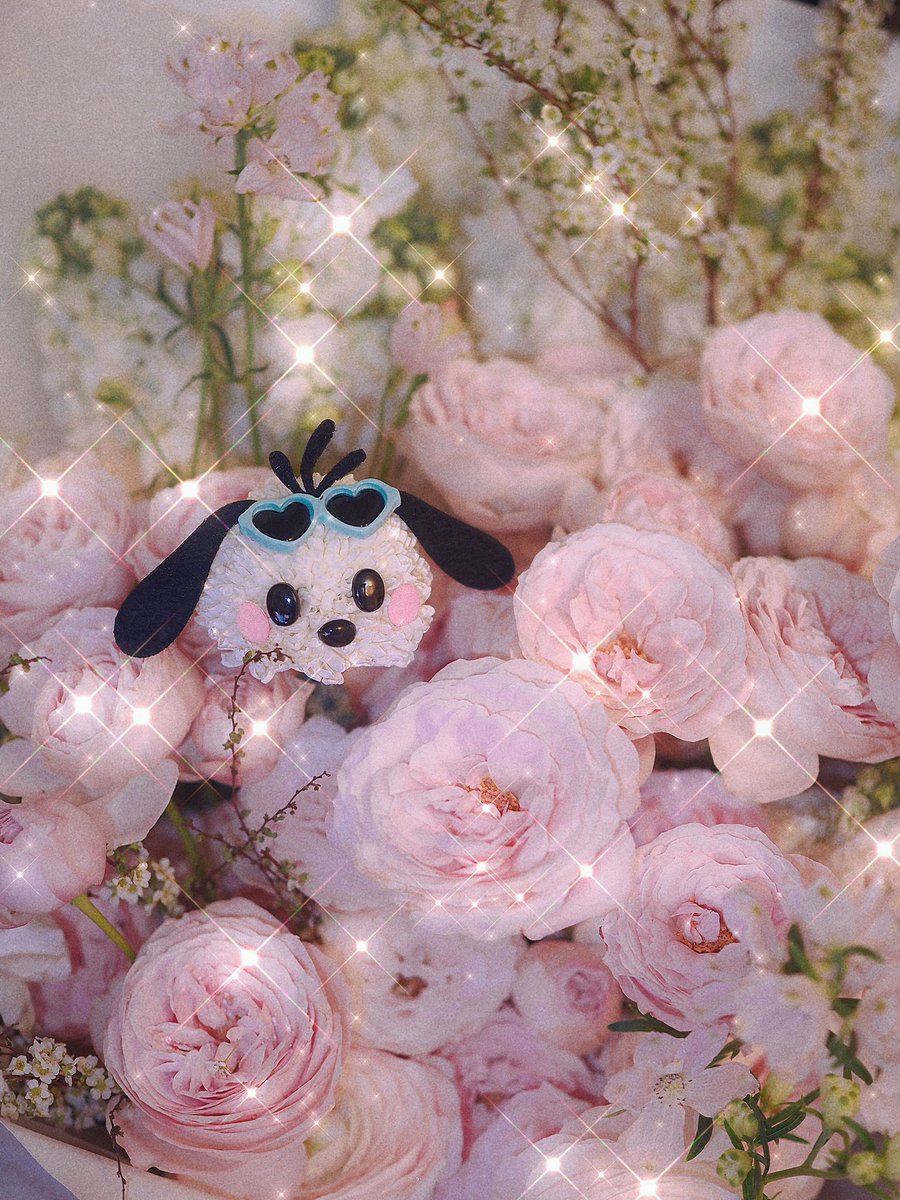 asherwong409's tweet photo. 🌸❤️ https://t.co/mHiyYW5ah5