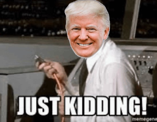 dmorrell's tweet image. 