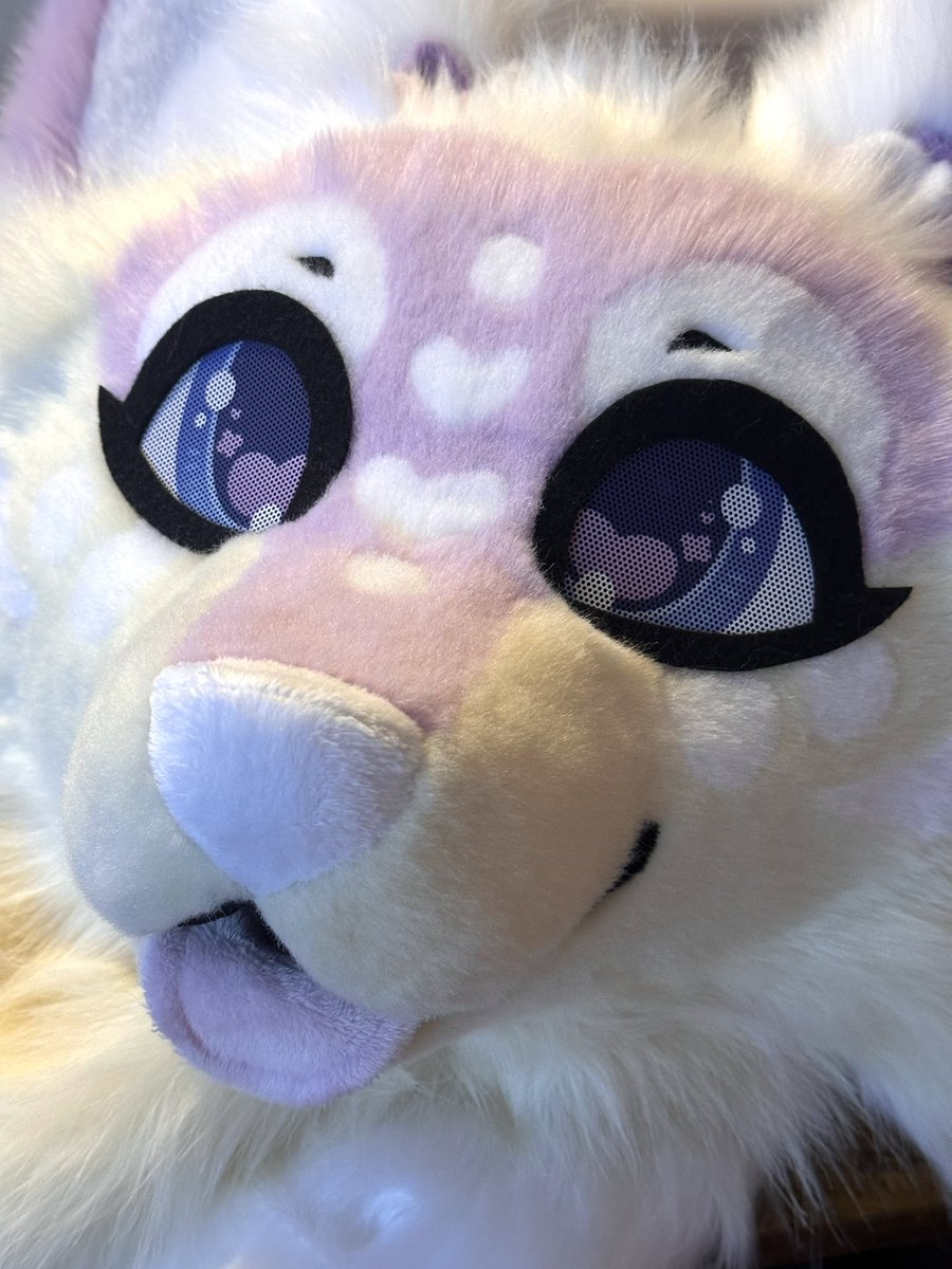 ChasingTailsWS's tweet image. ✂️ before and after!! 🤍🌸