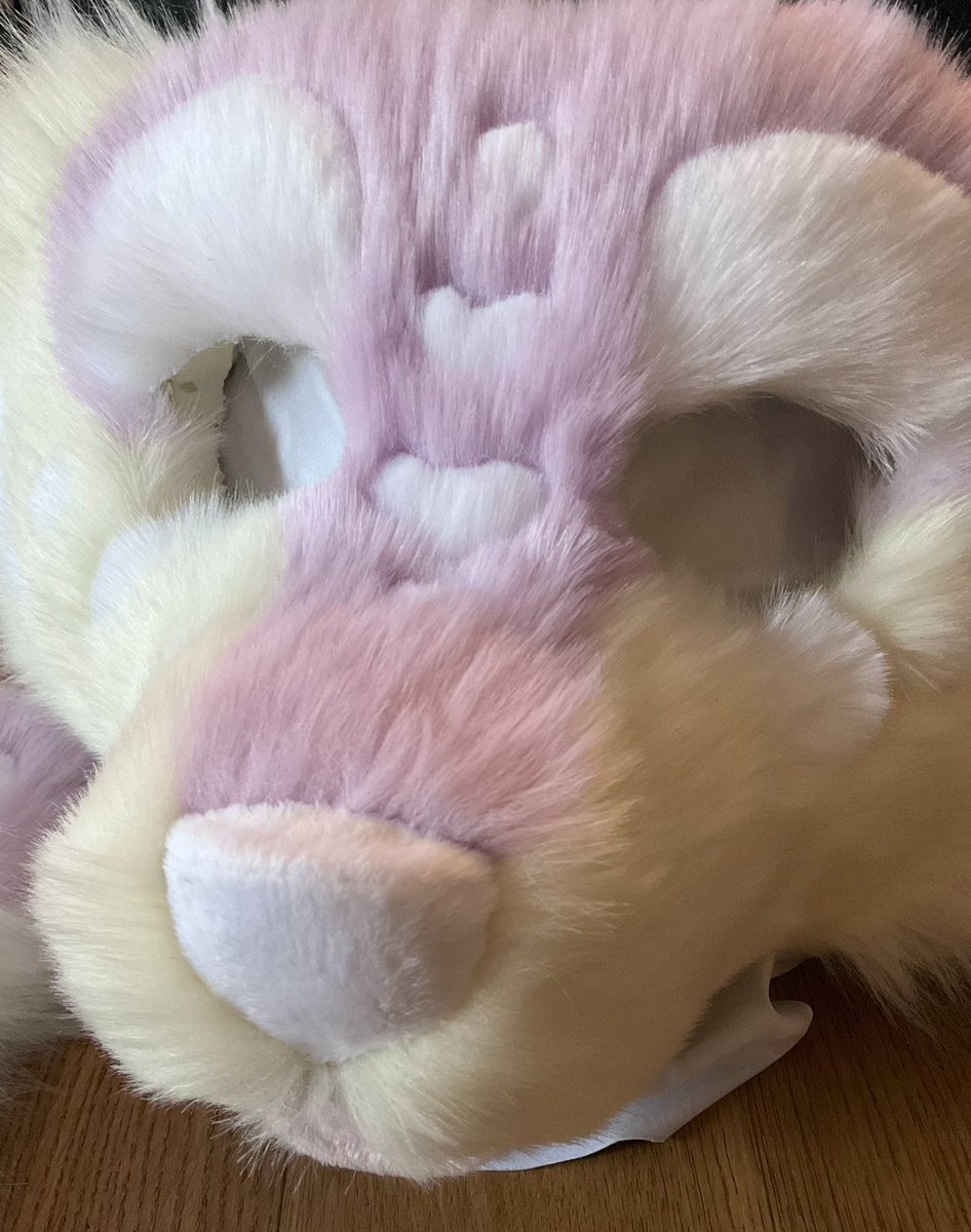 ChasingTailsWS's tweet image. ✂️ before and after!! 🤍🌸