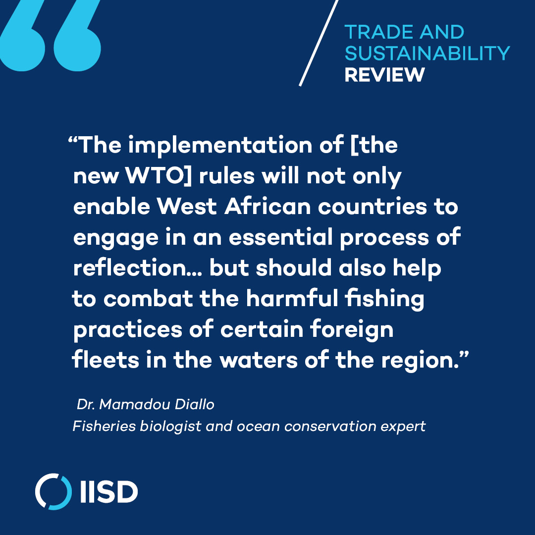 Fishing is a pillar of Senegalese culture and coastal lifestyles – but this is at risk 🏝️ 

In this interview, Dr. Mamadou Diallo explores sustainability challenges and the importance of effectively implementing the <a href="/wto/">WTO</a> fisheries subsidies agreement.

🔗: bit.ly/3QPzSb1