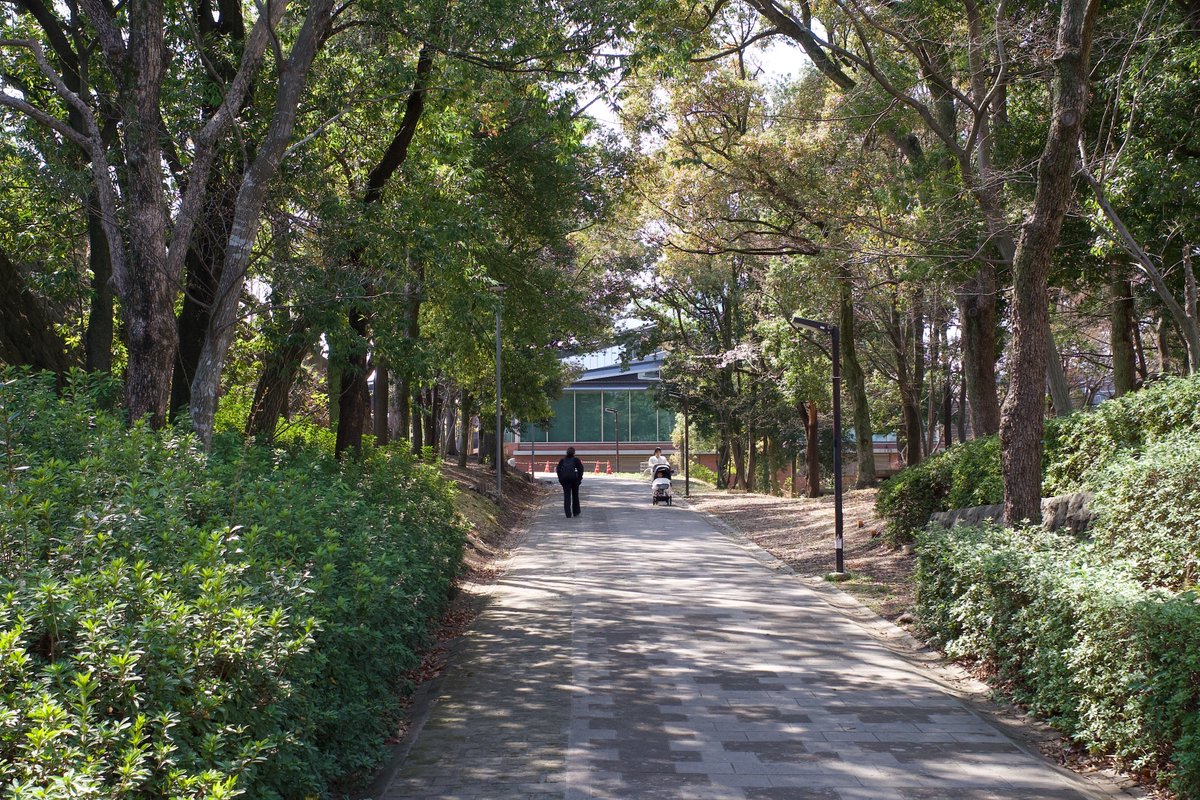 おはようございます！
本日もよろしくお願いします！

#写真好きな人と繋がりたい
#写真撮ってる人と繋がりたい
#スナップ

📸GRⅢ