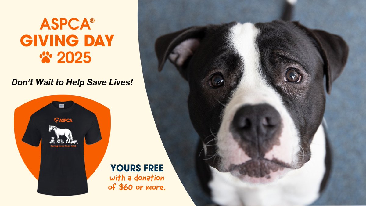 📢 EARLY BIRD OFFER: Make your early gift to kick off ASPCA Giving Day and get an exclusive ASPCA T-shirt with a donation of $60 or more! Don’t wait to help save animals' lives — Donate Now 🧡 aspca.org/2025givingday
