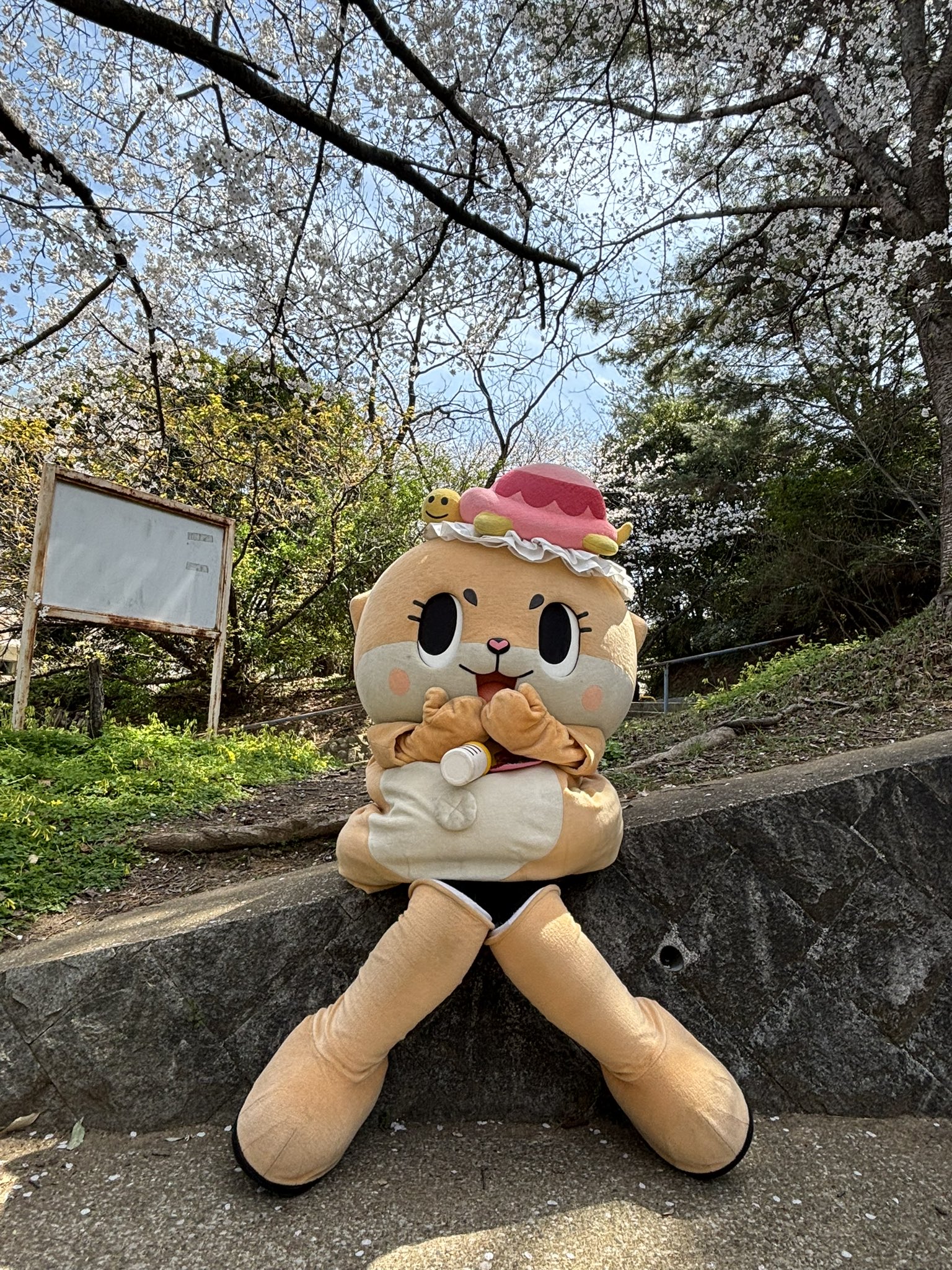 ∞愛しさと切なさと糸井重里∞ 愛しさと切なさと糸井重里 - こんぶろ-高知の酒屋ブログ-