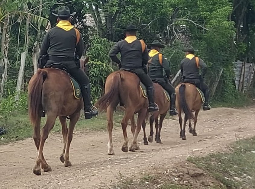PoliciaDECOR's tweet photo. 📍En zona rural del municipio de #Chinu  mediante patrullajes montados, nuestros @CarabinerosCol 👮‍♂️ realizan actividades de vigilancia y control, con el fin de contrarrestar el actuar criminal en la población.
#CabalgandoPorLaSeguridad 🐎🚨 https://t.co/BTZwfDmKUV