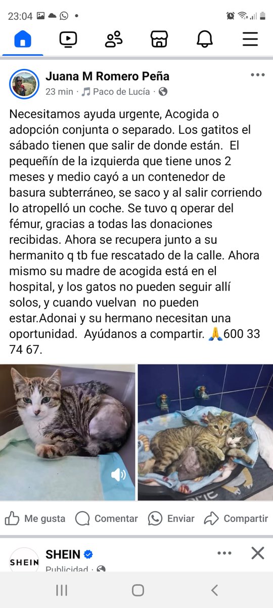 Por favor ayuda no hay mucho tiempo 😢 💔 😞 😢