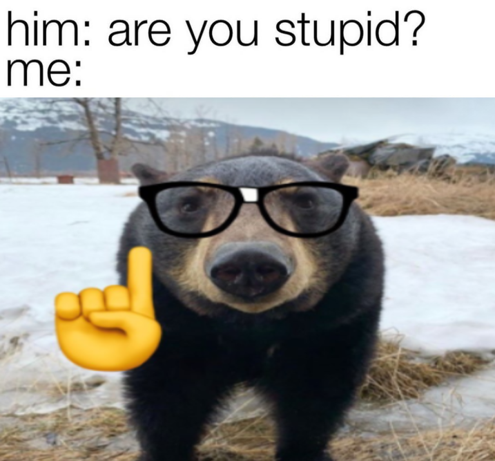 BearyDales (@bearydales) on Twitter photo 