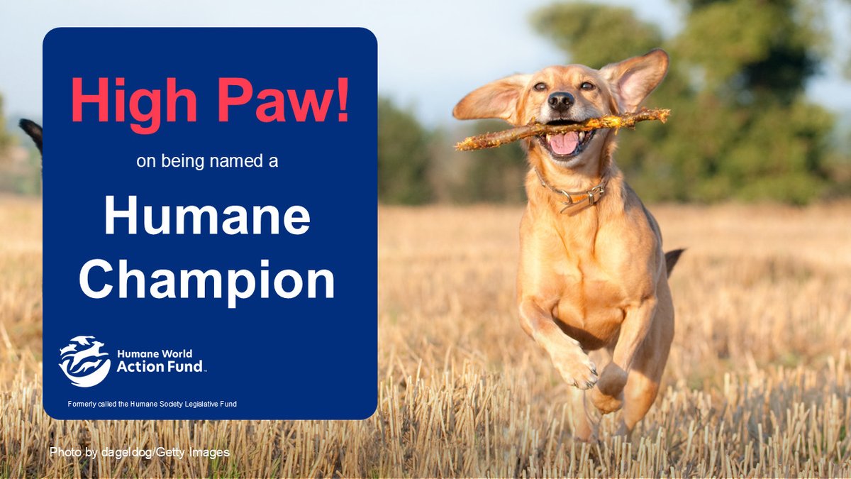 RepFletcher's tweet photo. I'm proud to earn the Humane Champion award from the @HumaneActFund for my work in Congress on behalf of the well-being of our furry, feathered, finned, scaled, and four-legged friends! #HumaneAwards #TX07 https://t.co/6q4no6uQEl