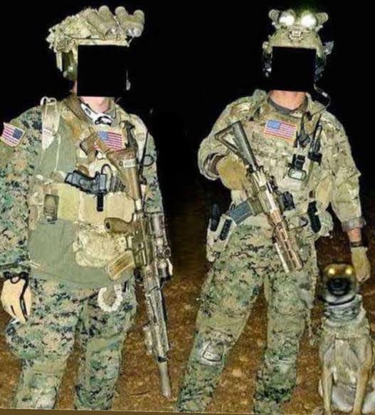 Growlor Media (COMMISSIONS FULL) tweet media