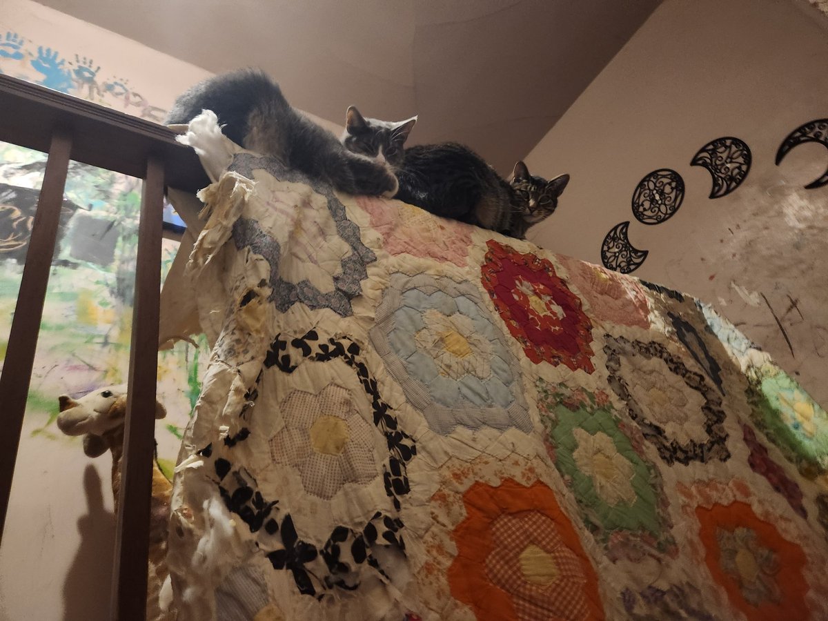 Girl99Daisy's tweet photo. @glock9gamer Twix &amp; Snickers. Yes they were judging me. They still judge me but I give them snackies. https://t.co/CN5YvFZA2t