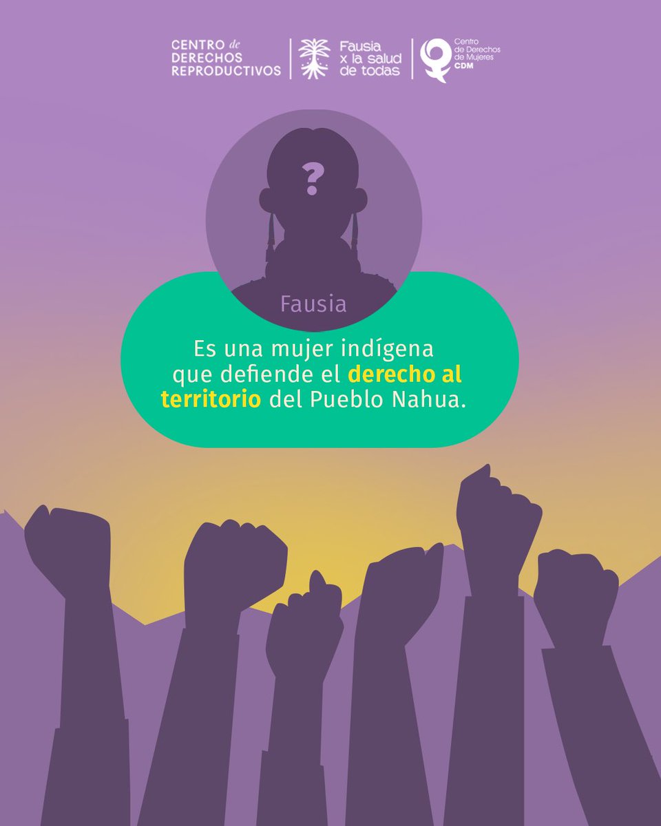 Centro de Derechos Reproductivos tweet media