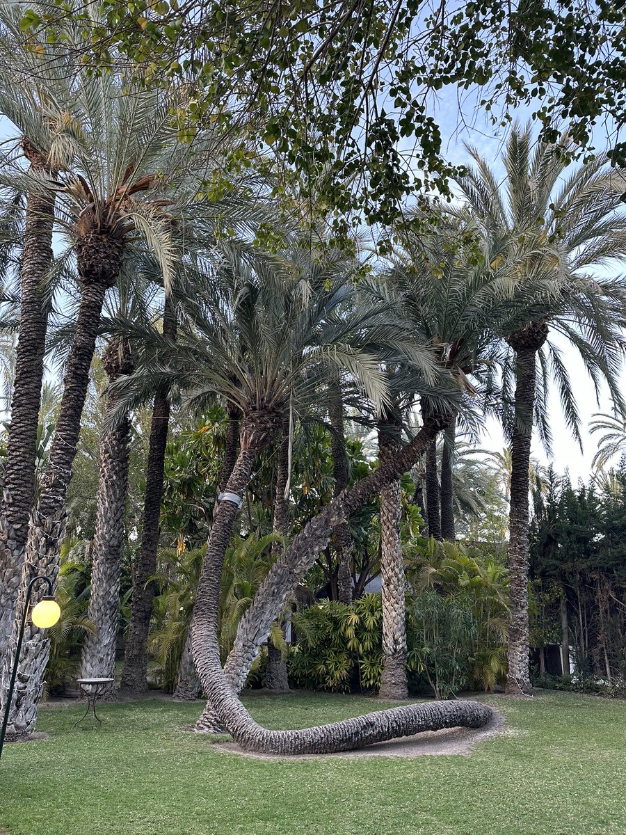 Primer día de vacaciones 👌🏻😌