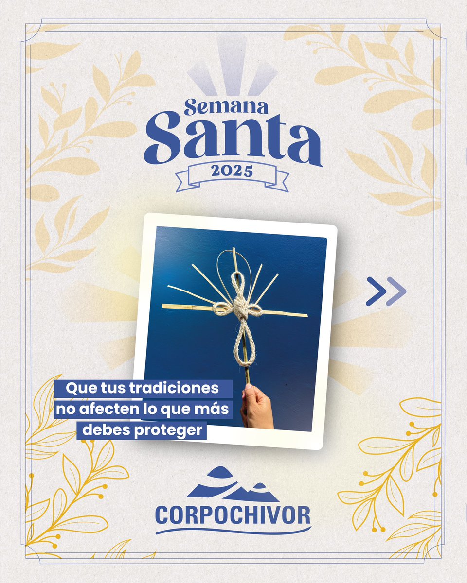 CORPOCHIVOR tweet media