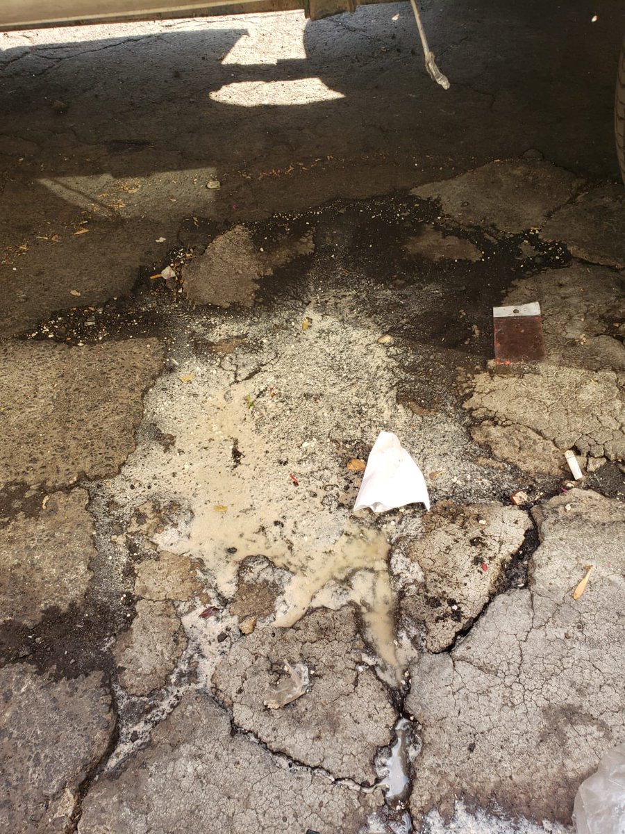 BlindarBJ's tweet image. Elementos de #BlindarBJ360 detienen a un sujeto que derramaba líquido sospechoso en las alcantarillas de calle Miguel Ángel en la colonia Nonoalco. La camioneta queda en resguardo de las autoridades.
Seguimos atentos.  👮🏼