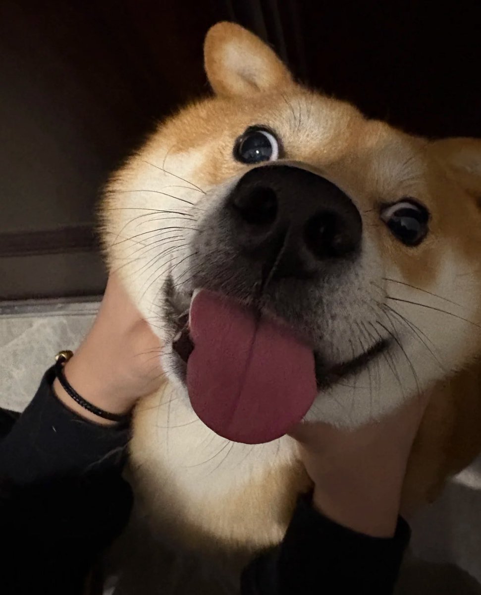 Me when you get your hands on me: