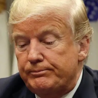 anyonewantchips's tweet photo. If Martha Stewart can serve 5 months in prison for insider trading - Trump can serve 5 months in prison for insider trading. https://t.co/MPykvmDU5b