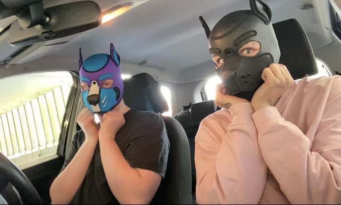 🖤 Pup Scruffy 💖 tweet media