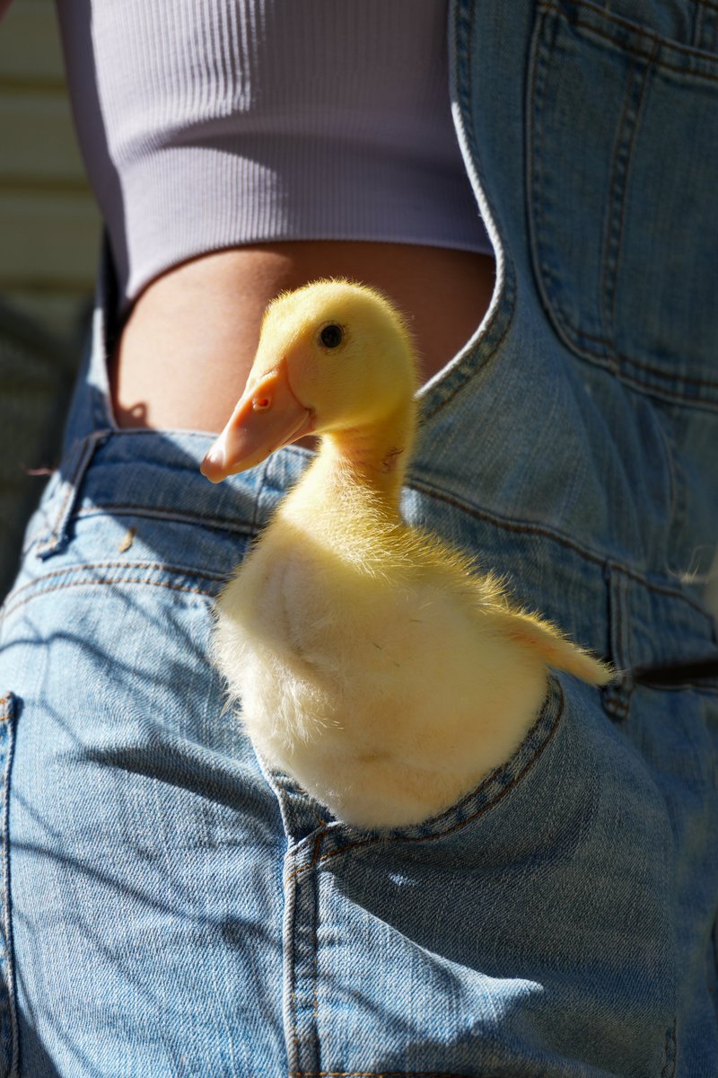 Mason Zaccarine tweet media