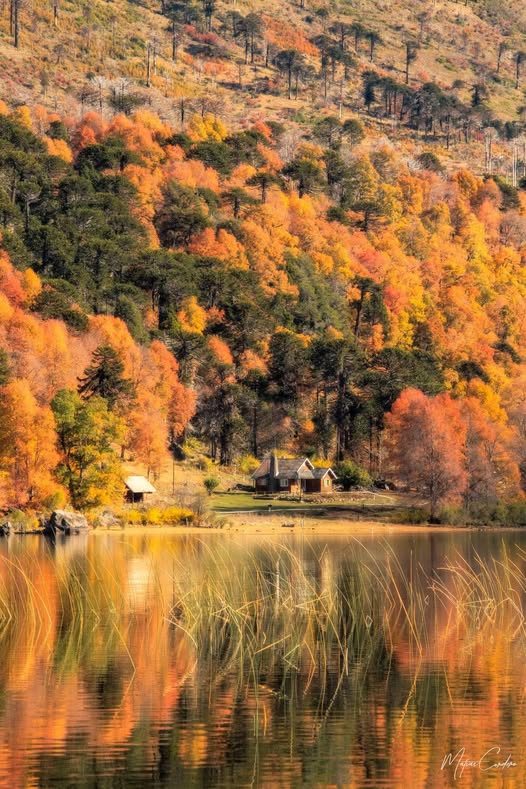 Chipitelix's tweet photo. La casa del guardaparque de Ñorquinco es un monumento a la calma y a la belleza.
#Neuquén #Otoño 
(Del muro de Respira Argentina) https://t.co/njKCkwltaH