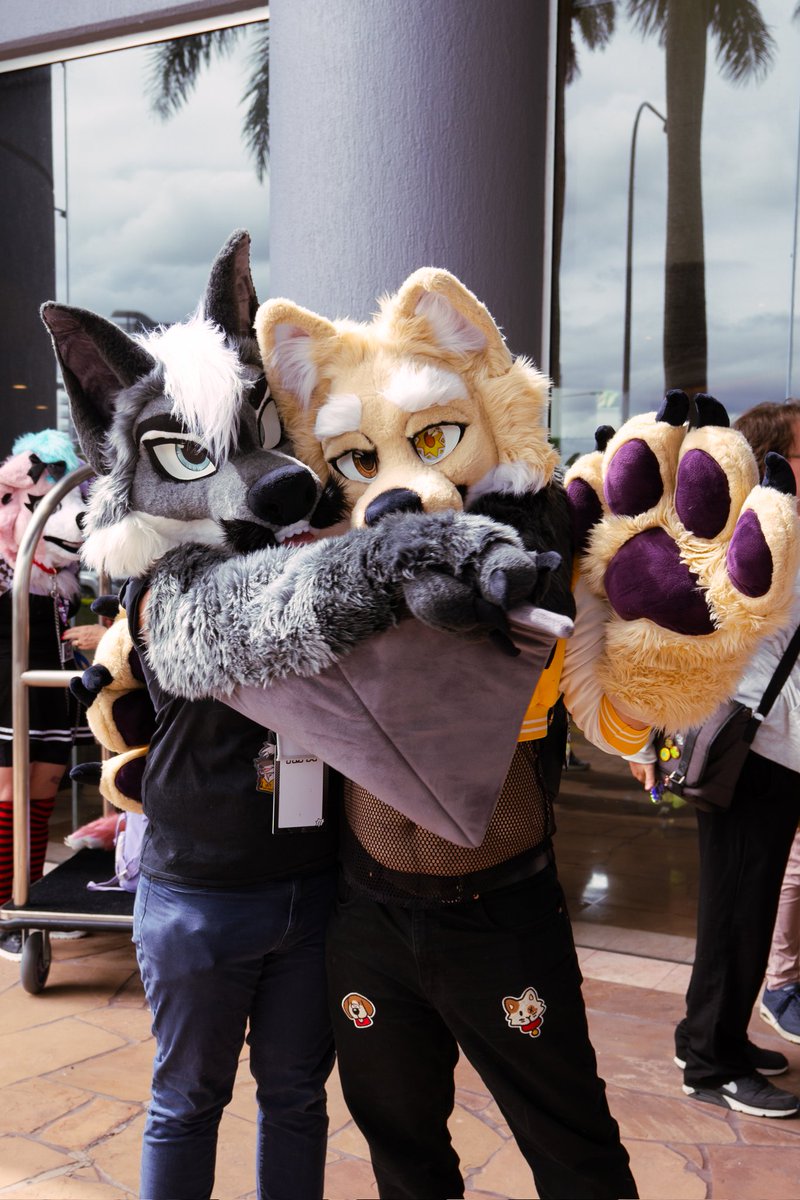 This dog's paws are large enough to eclipse the sun. Great to hug though.