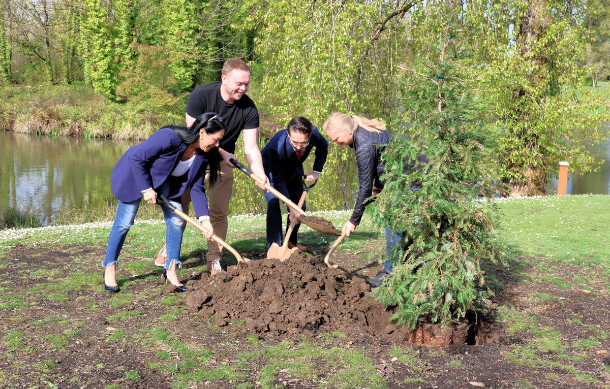 MyLongview's tweet photo. It was a beautiful day for our annual Arbor Day Tree Planting! Three Coastal Redwoods were planted at Lake Sacajawea. Thank you to all who joined to celebrate Arbor Day &amp; Longview's recognition as a Tree City USA for the 41st year and as a Tree City of the World for the 4th year! https://t.co/CAPkaRjOPU