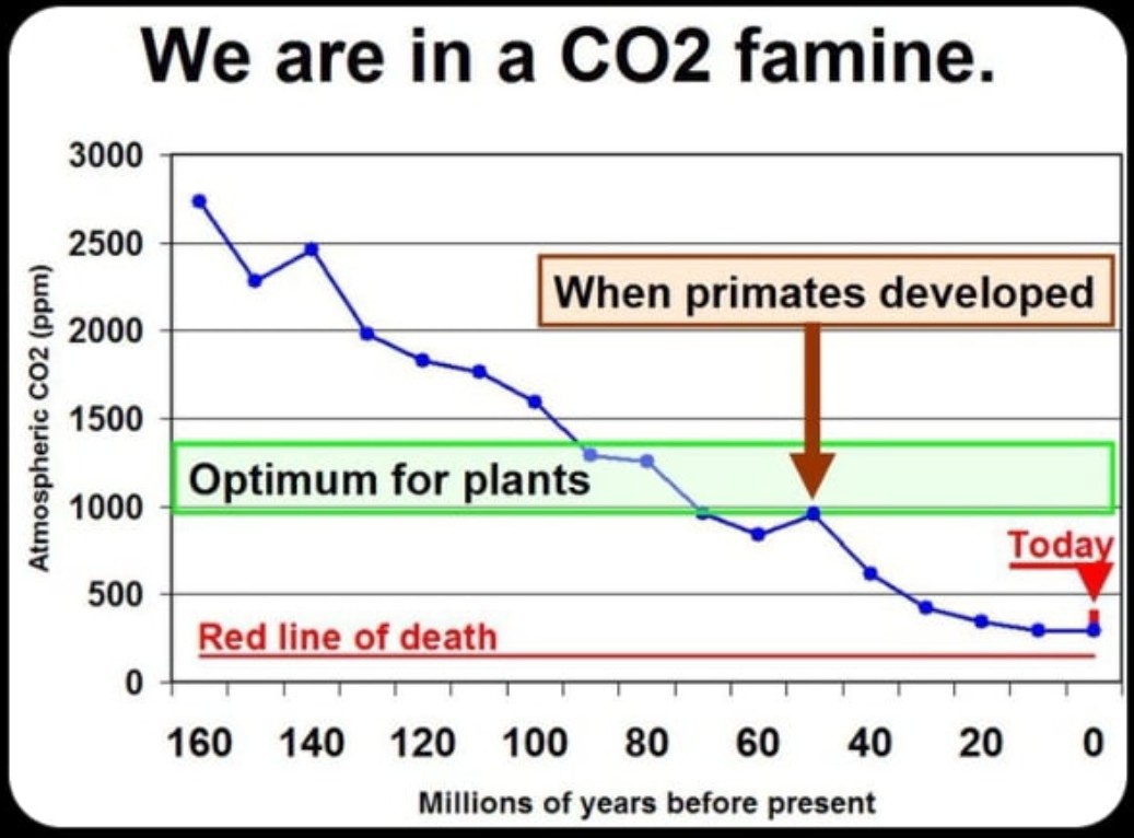 Carbon dioxide doesn't set weather patterns or control climate. This is the UN's crooked money grabbing climate scam. CO2 won't cause 'global boiling' either. It's the foundation for life, photosynthesis, food production &amp; oxygen renewal. We should worry about net zero &amp; the UN!