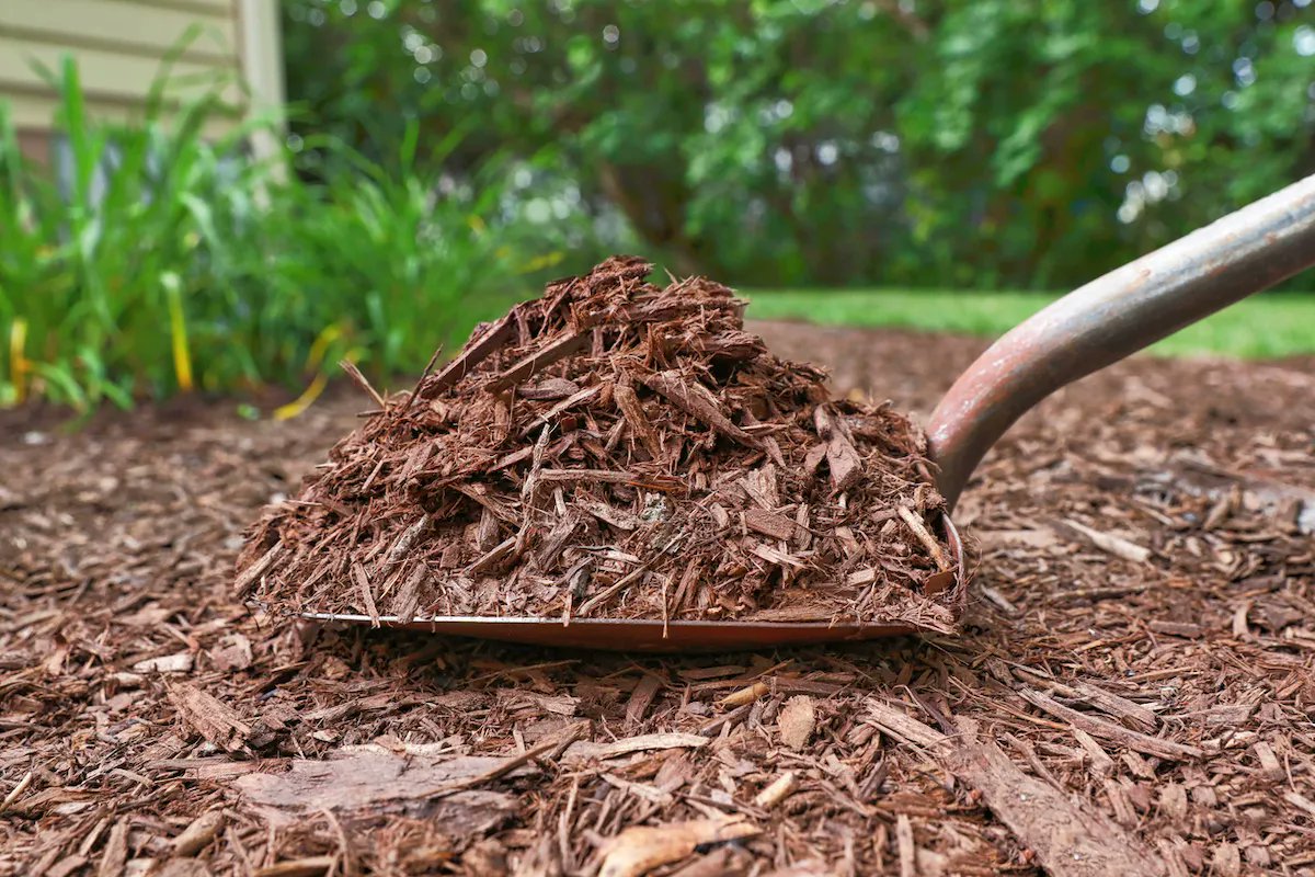 Just in time for Spring gardening, the City of Omaha is giving away mulch. cityofomaha.org/latest-news/11…