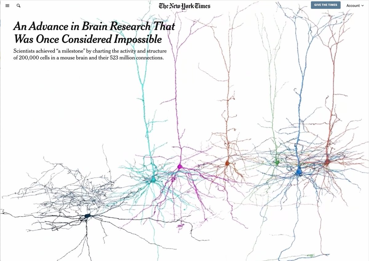 AllenInstitute's tweet photo. "The human brain is so complex that scientific brains have a hard time making sense of it."

@carlzimmer for @nytimes spoke with some of our scientific brains about today's publication of the most complete wiring and activity brain map. 

🔗 https://t.co/U4bIKSCddv https://t.co/HWhHoIS4EF