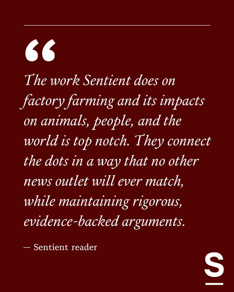 As we celebrate our seventh birthday, Sentient is the only non-profit, nonpartisan news outlet that’s solely dedicated to the factory farm beat.